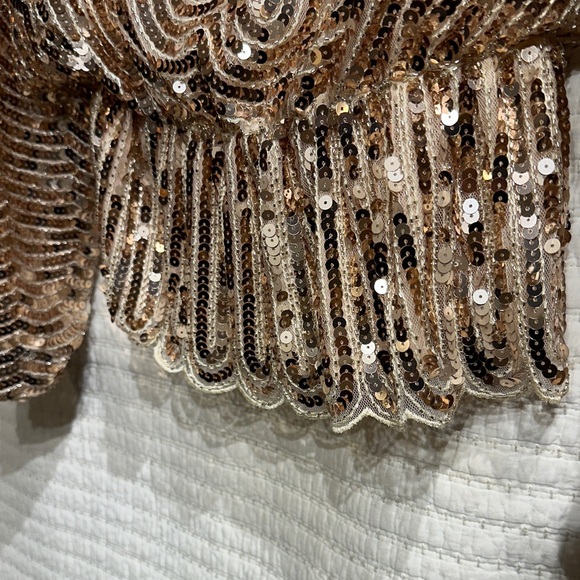 Endless Rose Golden Sequin Party Ready Long Sleeve Top V Neck Back Size XS NWT - Picture 5 of 8